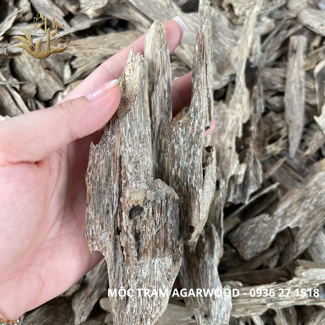 Natural Vietnamese Kien Xi Agarwood Chips – Resinous Oud Pieces (Multiple Weights Available)